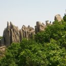 이성형 행정사 사무소 이미지