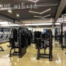 이너멜 이미지