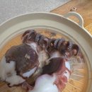 여수 정아식품 새조개 갑오징어 구매배송 후기 (새조개샤브샤브, 갑오징어통찜, 새조개라면)
