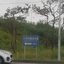 용인대 강동유도관 | 국가대표 진천 선수촌 견학및 훈련 1탄^^ (민앤마이노)(하남유도)(미사유도)(하남주짓수)(미사주짓수...