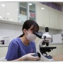 씨밀레동물병원 이미지