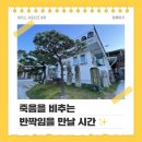[아키스 서포터즈 9기] 죽음을 비추는 반짝임을 만날 시간