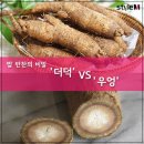 더봄미용재료