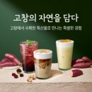 폴바셋일산마두점