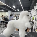 아온펫 이미지