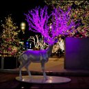 타임스케어 이미지