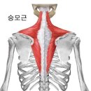 중부골프엔헬스 이미지
