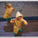 용문산자연휴양림 이미지