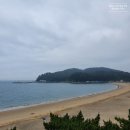 불꽃호프식당