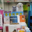 오정약국