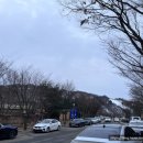 마로니에펜션 이미지