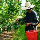 또박이농장 이미지