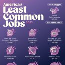 차트: 가장 흔하지 않은 미국 직업 이미지