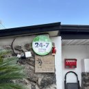 조천늦장 | [내돈내산]제주도 조천늦장 B동 후기(별세개!★★★)
