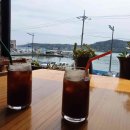 오시오화분·다육