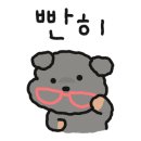 셀럽도기 이미지