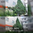 경산시 회사 화단 조경수 가지 정리 후기