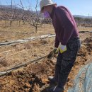 대농2농장 이미지