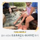 수안보족욕길 | 충주 수안보 아이랑 2탄 ♨️ 무료 족욕길 체험 &amp; 인생 치킨 '새나라치킨' 내돈내산 후기