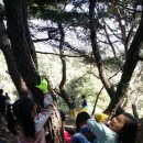 천일유치원 이미지