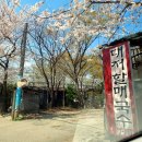 강서구-18 | 부산 강서구 가성비갑 6천원 푸짐한 국수집, 대저할매국수