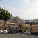 대도농장 | 충남 금산군 맛집 진산맛집 가원농장가든 오리한방백숙 맛집후기 (대둔산 맛집후기)