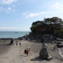 청산 단풍나무길 이미지