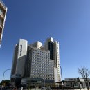 모어댄속초 | 속초해변숙소, 모어댄 속초해변점 솔직후기