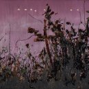 신우철강 이미지