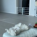 브라운하우스민박 이미지