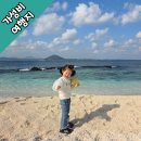 섬밭길 자전거대여소(11월~2월) | 제주 우도 가는 법 완벽정리! 성산항 출발, 배시간표, 요금, 주차 꿀팁까지