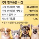 삼성화재우 추가 매수 사유 (2년차 주주 후기)