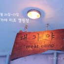 대가야동물병원 | #1. 고령 대가야 미트 캠핑장 (3/24~3/25)