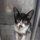 공덕119안전센터 이미지