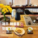 제주 원데이클래스, 찻집 지안 I 애월 다도 체험 공방 티클래스 후기, 제주도 비오는날 실내 데이트...