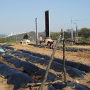 연성농장 이미지