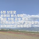 하이웨이네트 | 6월 삿포로 비에이 버스투어 여름 일정 공유 후기 (크리스마스 나무,청의호수,사계채 언덕,팜토미타 등)