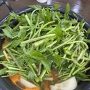 등촌샤브칼국수평택점 | [평택/동삭동]얼큰버섯칼국수 등촌샤브칼국수 -버섯 샤브샤브 맛집