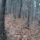 이산고등학교 이미지