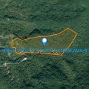 구례공인중개사사무소 이미지