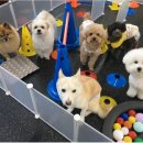 아지스테이션