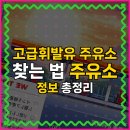 시장주유소 | 고급휘발유 주유소 찾는 법 주유소 정보 총정리