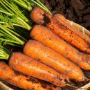 치유필라테스 이미지