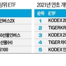 개인(이항) 네이버블로그