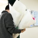 아름꽃화원 - 수원시 장안구 송정로168번길 2 | 아름꽃화원
