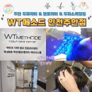 미추홀해독센터 | WT메소드 주안 두피케어 탈모케어주안 두피스케일링
