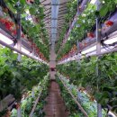 백성현 농장 이미지