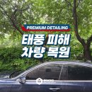 알파덴트 대구점 | 대구 광택 추천 태풍 차량 파손 깔끔하게 복원 완료