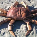 목공예B 이미지