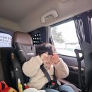 지웅농장 | 인천 딸기 체험 농장 '딸기의 하루' / 네 살 아이들이랑 딸기 따고 왔어요 ;)